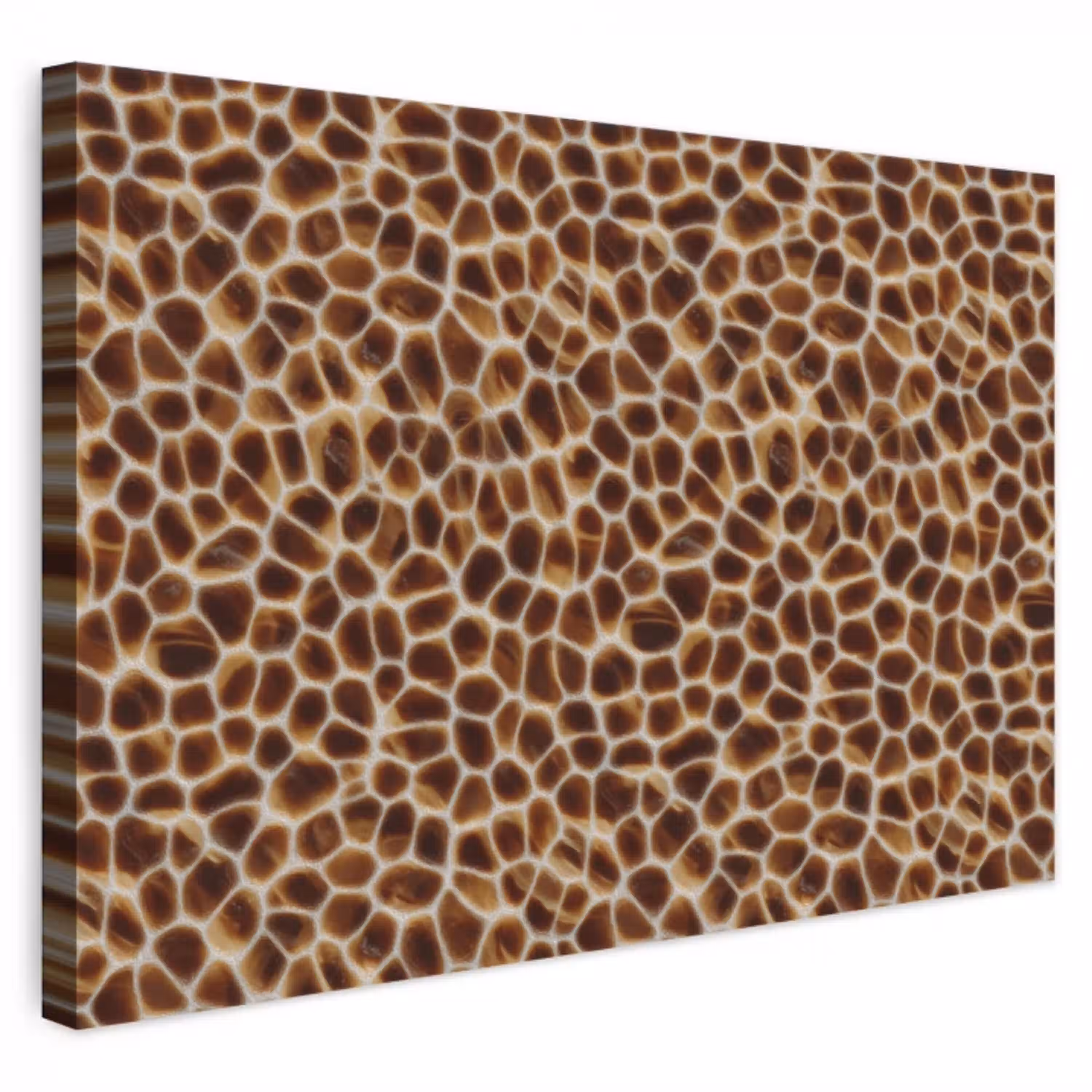 Schildpad - Bruin - Patroon canvas 2cm klein 34 -3d