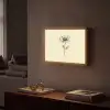Klaproos - Illustratie - Zwart Light Box met batterij (Wandlamp) middel -sfeer1