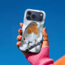 Roodborstje - Tak - Sneeuw - Winter - Levendig Toughcase MagSafe Apple iPhone 17 Pro Max klein -Sfeer1V