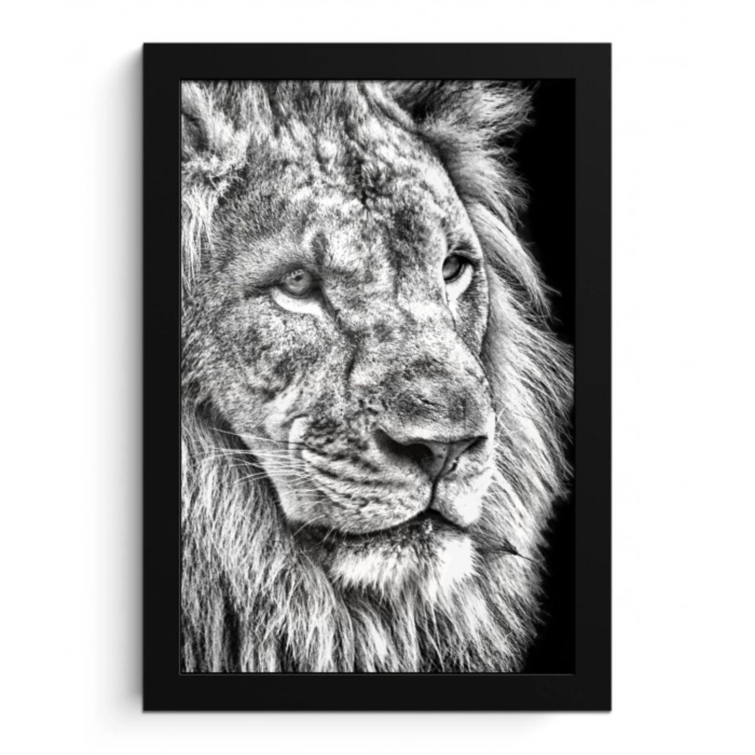 Portret - Leeuw - Zwart wit fotolijst zwart zonder passe partout klein -3d