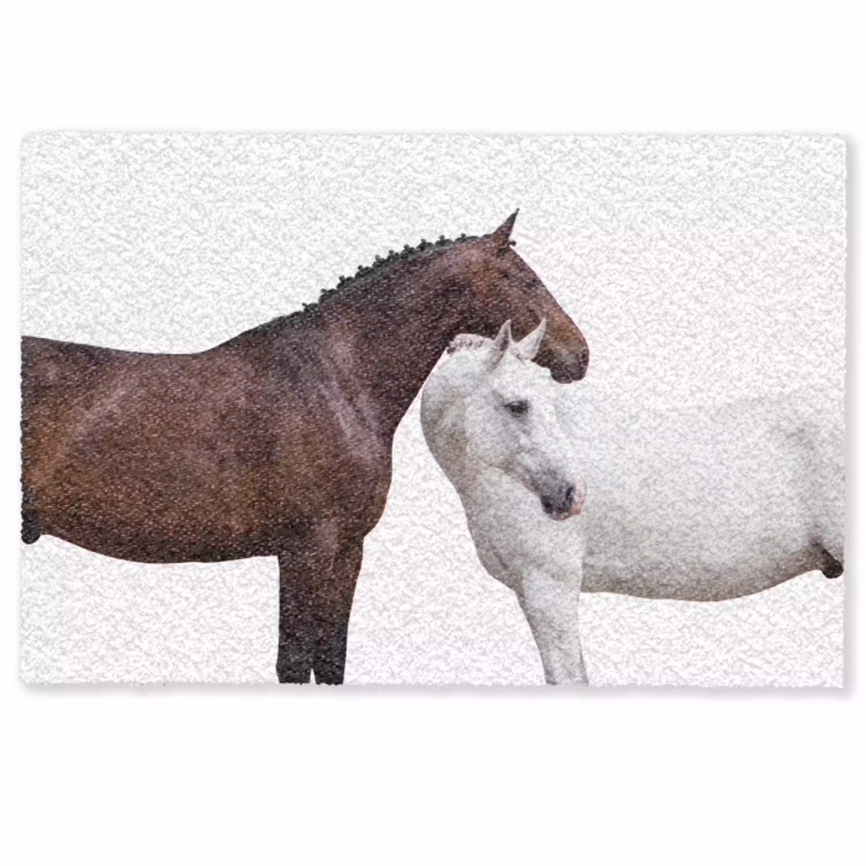 Paard - Modern - Balans Deurmat klein -zkaufland3d