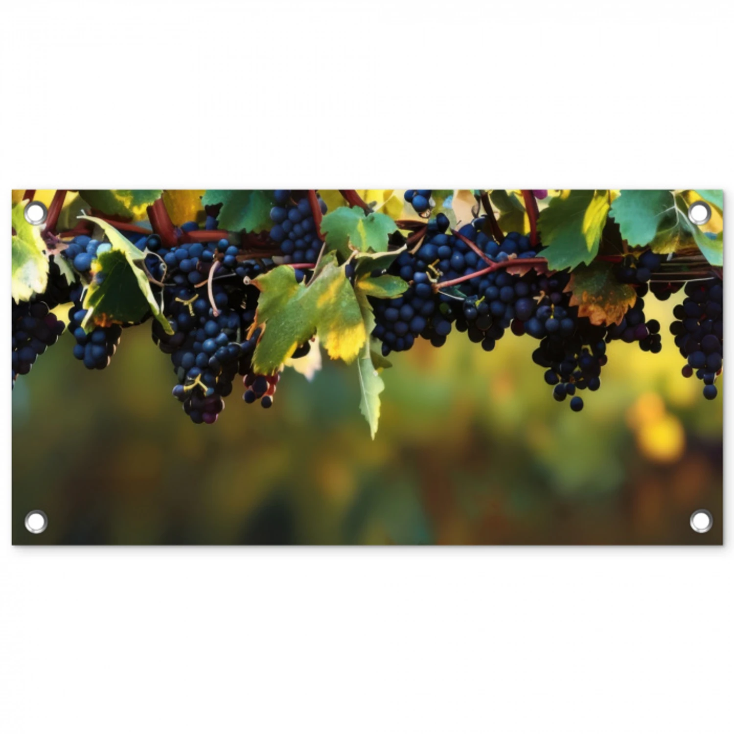 Druiven - Wijn - Natuur - Groen tuinposter los doek klein -3d