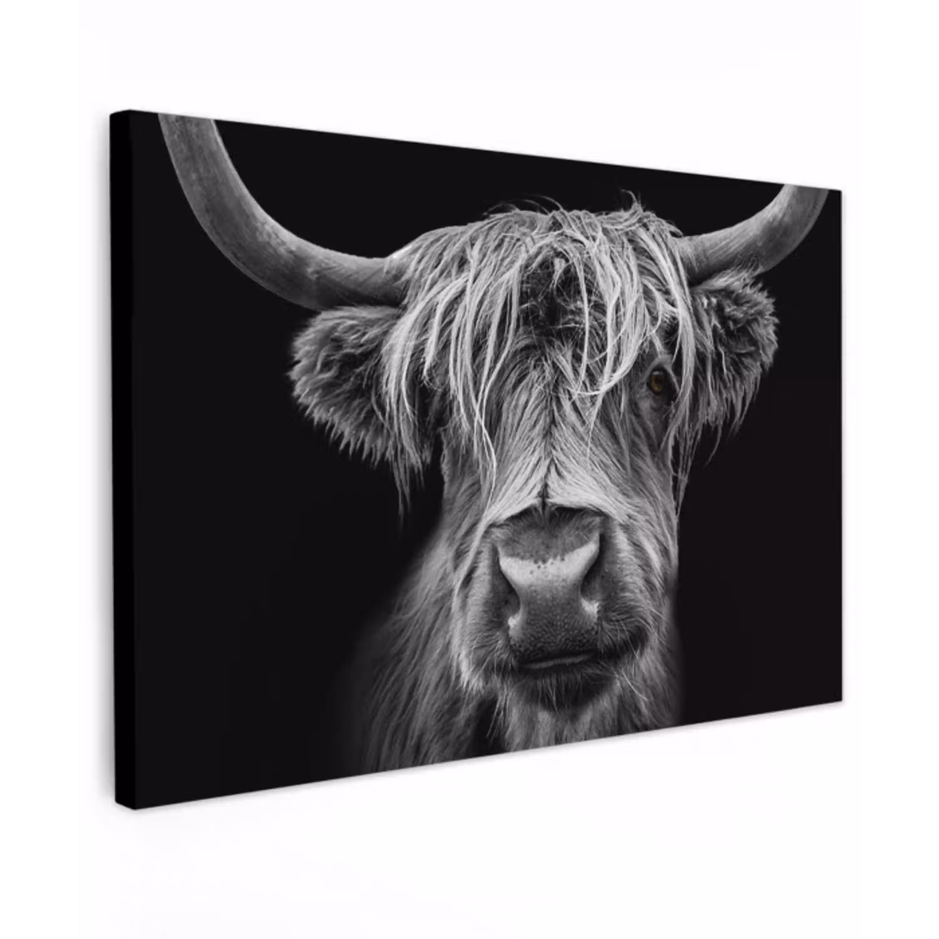 Hooglander in Zwart-Wit Tuinposter op houten frame 2 cm dik klein -3d