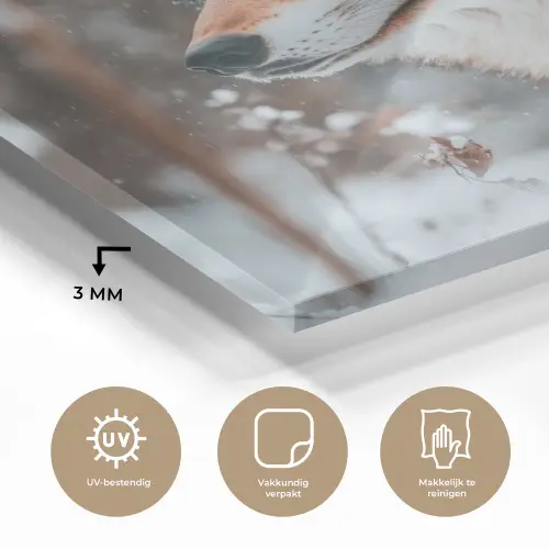 Wolf - Sneeuw - Winter - Dieren - Natuur - Sneeuw plexiglas 5mm klein -sfeer2