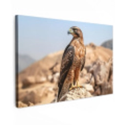 Valk - Vogel - Rots - Macht Tuinposter op houten frame 2 cm dik klein -3d