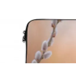 Groenling - Katjes - Lente - Natuur - Zacht laptophoes neopreen klein -detail