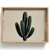 Cactus - Subtiel - Groen Dienblad Rechthoek middel -z3d_shopping