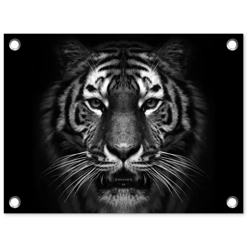 Tijger - Dieren - Zwart - Wit - Portret - Wild tuinposter los doek klein -3d