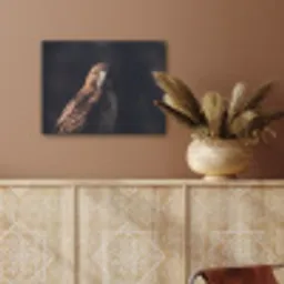 Roofvogel - Buizerd - Bruin PET vilt klein -sfeer4