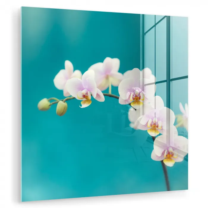 Orchidee - Bloemen - Plant - Wit - Paars plexiglas 5mm klein -zzzproduct_nieuw