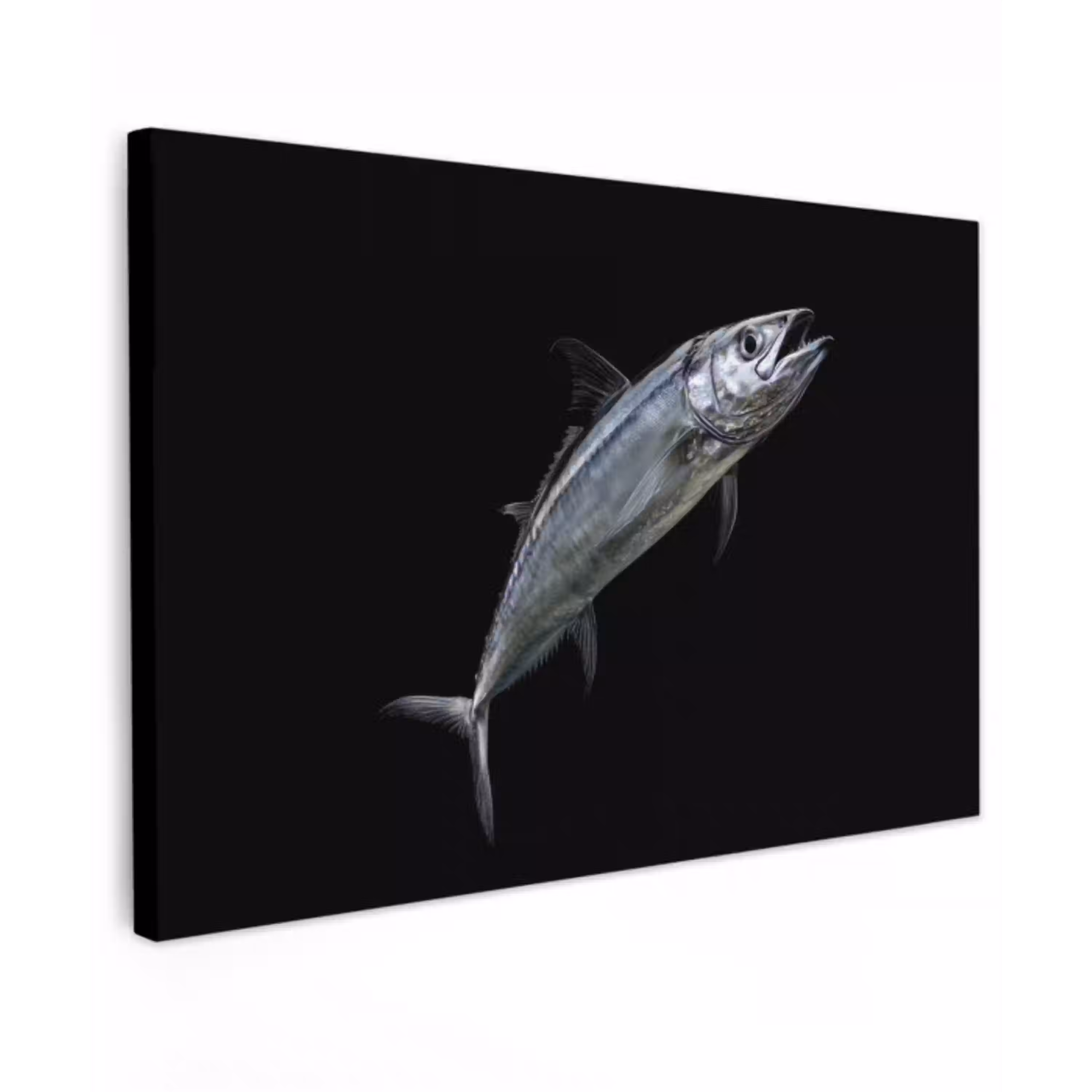 Makreel - Vis - Zwart canvas 2cm klein -z3d