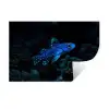 Vis - Stippen - Koraal - Blauw Muursticker klein -3d