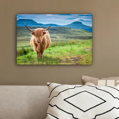 Schotse hooglander - Koe - Natuur - Berg - Gras canvas 2cm klein -sfeer3