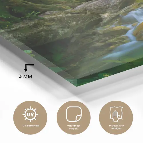 Jungle - Stenen - Water - Natuur - Planten plexiglas 5mm klein -sfeer2