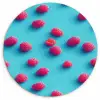 Blauw - Frambozen - Roze Wandcirkel plexiglas klein 852 -3d