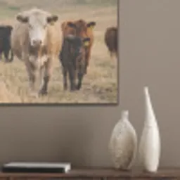 Runderen - Kudde - Landschap - Weide - Rustig PET vilt klein -sfeer6_closeup