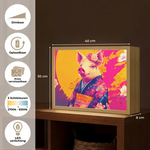 Varken - Bloemkroon - Kimono - Abstract Light Box met batterij (Wandlamp) middel -USP_websiteoverzichtNL