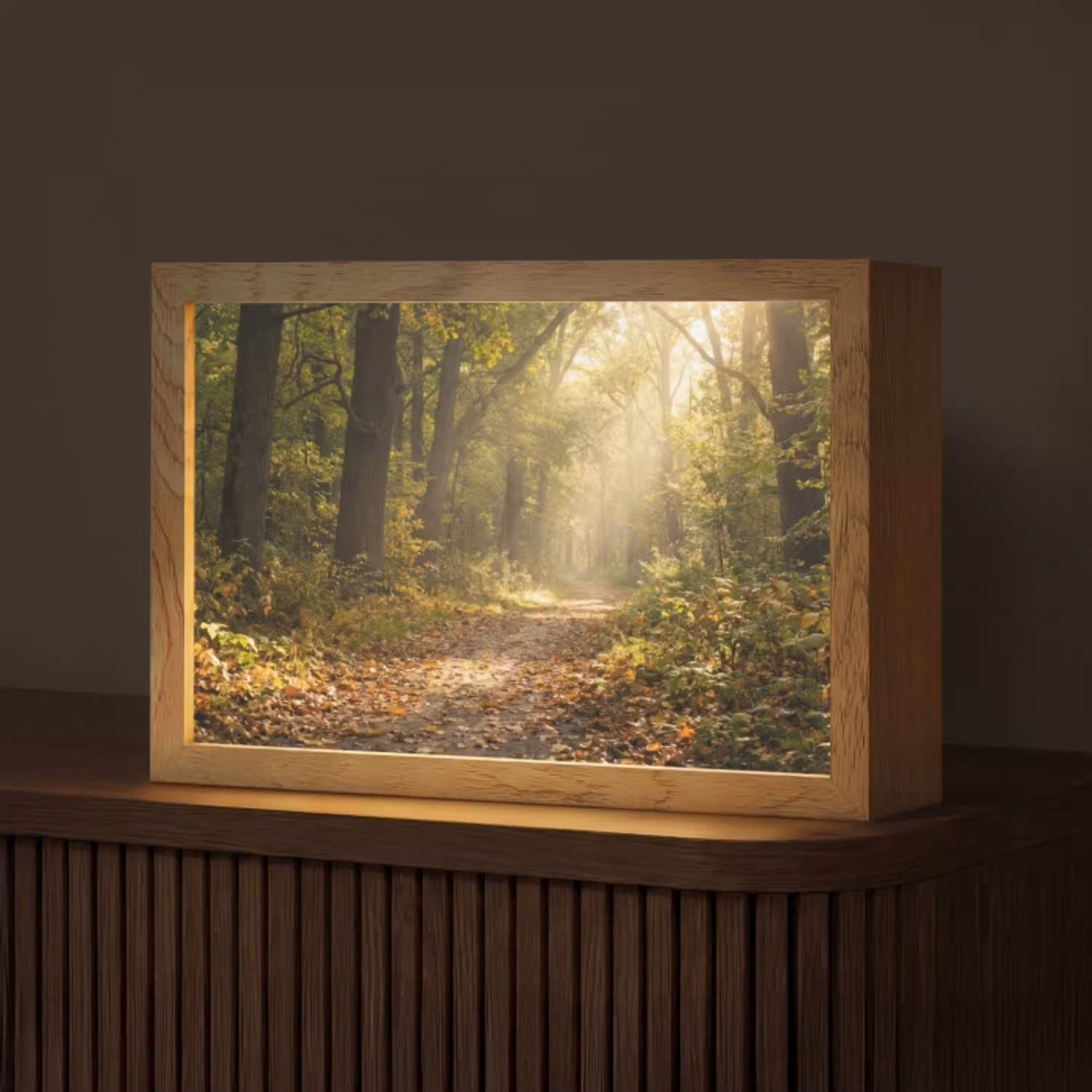 Zonlicht - Bospad - Bomen Light Box met kabel (Tafellamp) klein -z3d_website