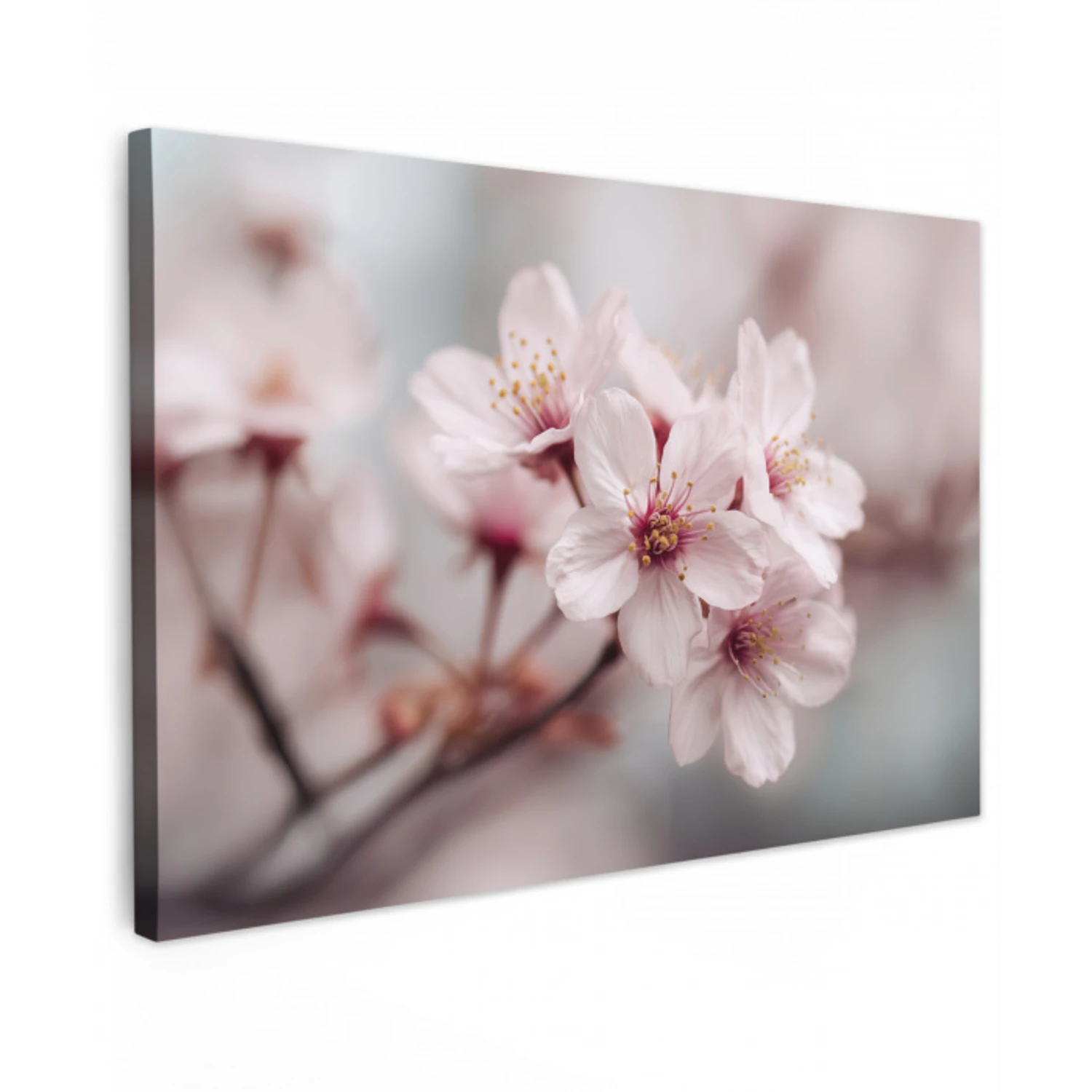 Bloesems - Meeldraden - Geel - Wazig canvas 2cm klein -z3d