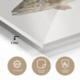 Vissen - Natuur - Vintage plexiglas 5mm klein -sfeer2