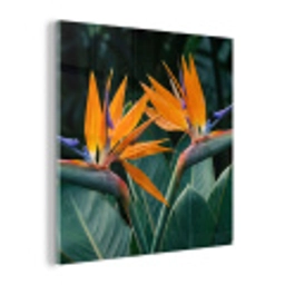 Paradijsvogel - Bloem - Exotisch plexiglas 5mm klein -z3d