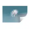 Paardenbloempluisje - Blauw - Lucht Muursticker klein -3d