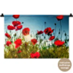 Klaprozen - Toscane - Zon - Rood - Blauw Wandkleed katoen klein -t3d_DE