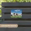 Koeien in de weide tuinposter los doek klein -sfeer3
