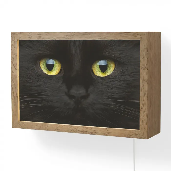 Kat - Zwart - Dieren - Natuur Light Box met kabel (Wandlamp) klein -3d