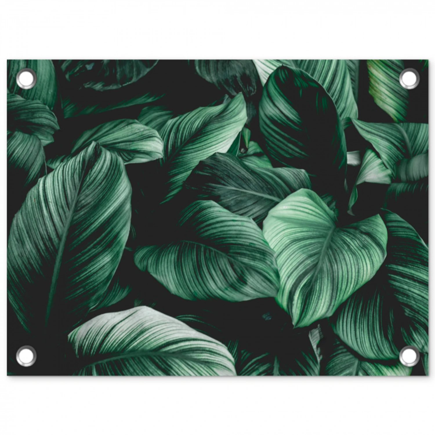 Intrigerende Bladpatronen tuinposter los doek klein -3d