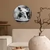 Varken - Schattig - Spaghetti - Zwart wit - Dier Wandcirkel plexiglas klein -sfeer1