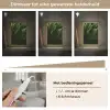 Bladeren - Schaduw - Groen - Textuur Light Box met kabel (Tafellamp) klein -USP_dimbaarNL