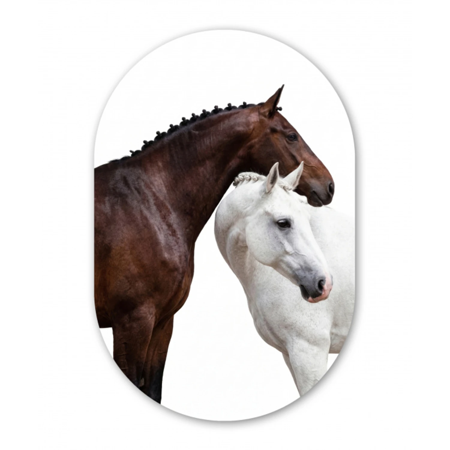 Paard - Modern - Balans Wandcirkel Ovaal Aluminium middel -3d
