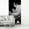 Dieren - Neushoorn - Zwart - Wit - Portret fotobehang vinyl groot -woonkamer