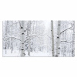 Berkenbomen - Sneeuw - Winter - Bos - Wit Muismat XXL klein -3d_leeg