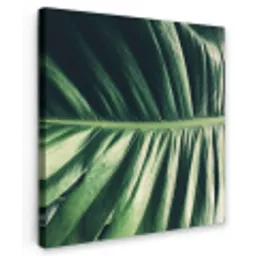 Tropisch - Inductie mat - Natuur - Inductie beschermer - Jungle Tuinposter op houten frame 2 cm dik klein -3d