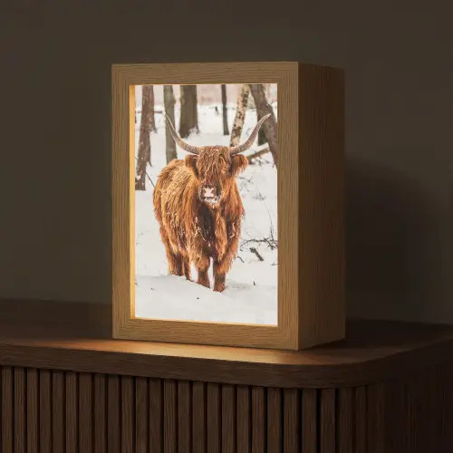 Schotse Hooglander - Sneeuw - Winter - Natuur - Dieren Light Box met kabel (Tafellamp) klein -z3d_website