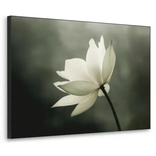 Wit - Lotus - Donker - Bloem Textielframe zwart klein -3d