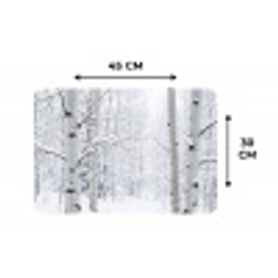 Berkenbomen - Sneeuw - Winter - Bos - Wit Placemat vinyl groot -specs
