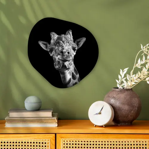 Giraffe - Dier - Zwart - Wit Wandcirkel Organisch Forex 3mm klein -sfeer2