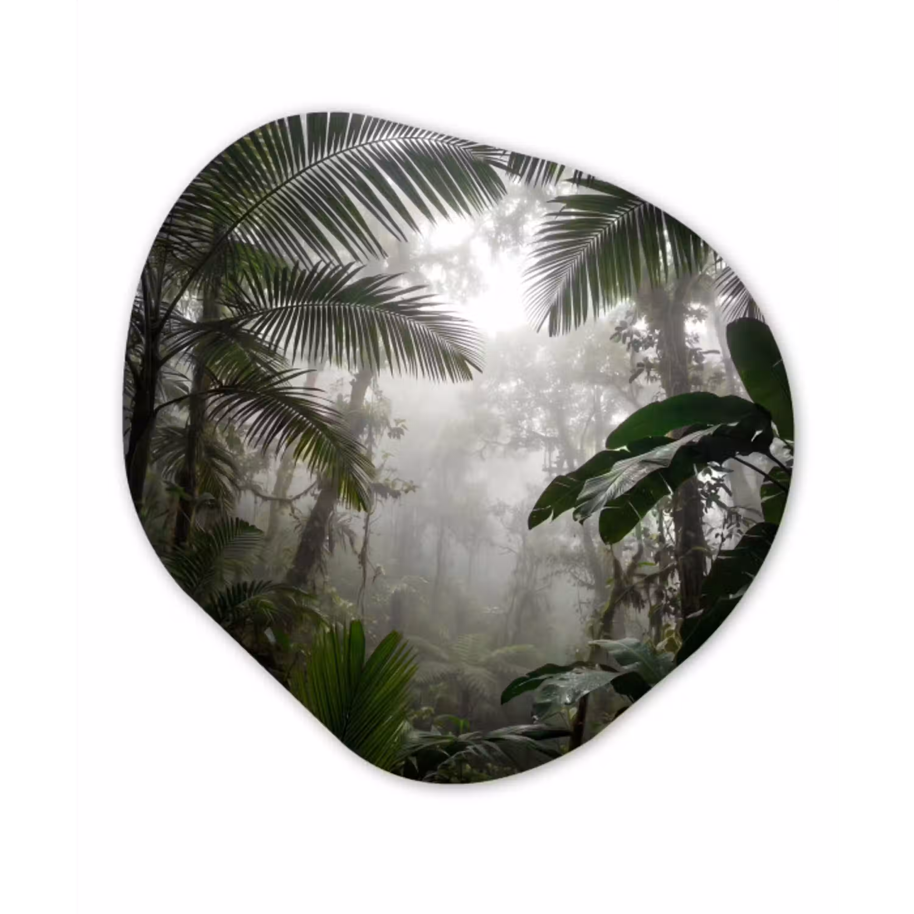 Natuur - Jungle - Mist - Groen - Bladeren Wandcirkel Organisch Aluminium middel -3d