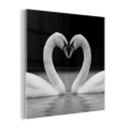 Zwanen - Hart - Zwart - Wit plexiglas 5mm klein -z3d