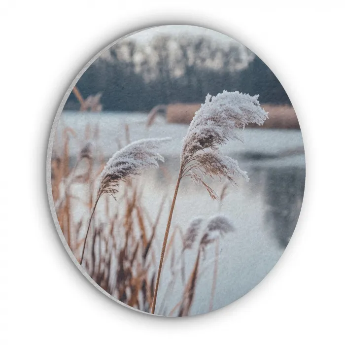 Riet - Gras - Natuur - Winter - Meer Akoestische PET Vilt - Rond klein -3d
