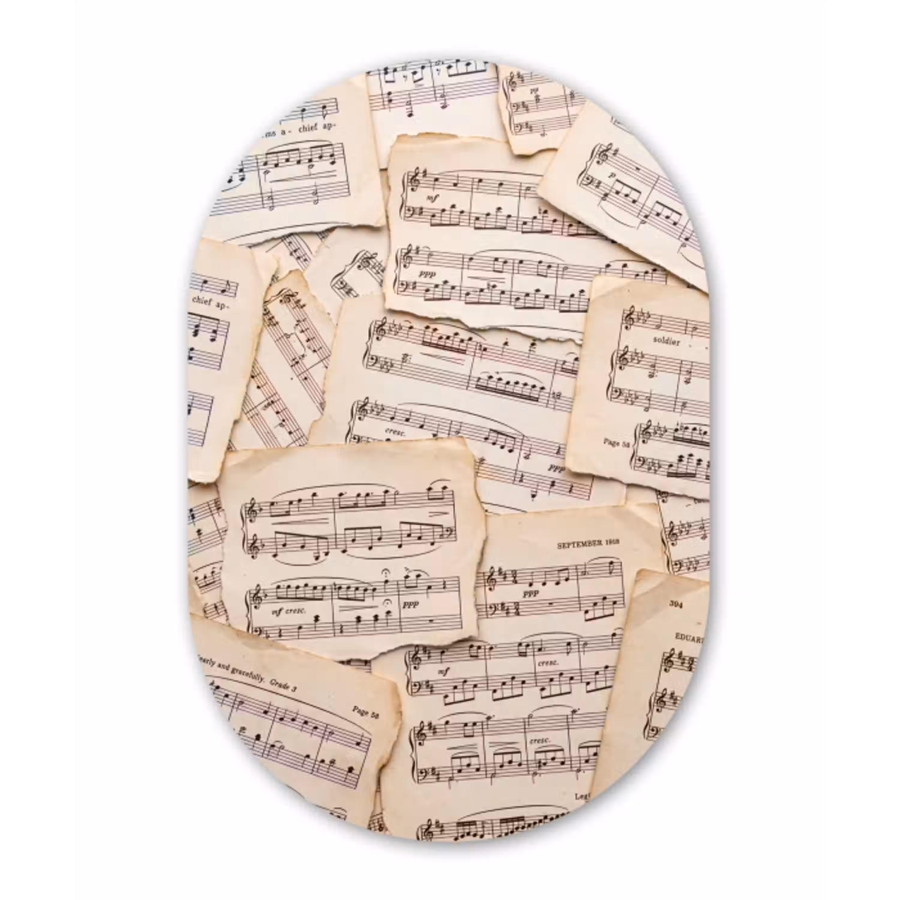 Bladmuziek - Oud - Noten - Vintage - Beige Wandcirkel Ovaal Aluminium middel -3d