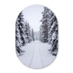 Bos - Winter - Sneeuw - Pad - Natuur Wandcirkel Ovaal Forex klein -3d