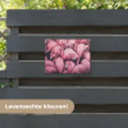 Flamingo - Roze - Dieren tuinposter los doek klein -sfeer3