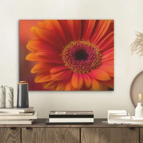 Oranje - Gerbera - Intens PET vilt klein -sfeer1