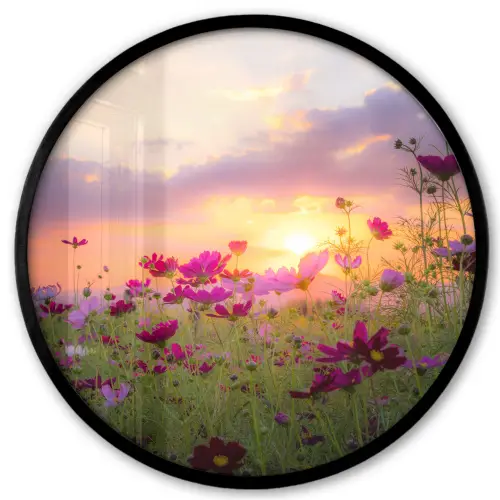 Bloemen - Roze - Zonsondergang - Natuur - Weide - Horizon Fotolijst rond zonder passe partout klein -3d