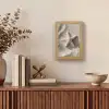 Strand - Zeester - Zand - Beige Light Box met kabel (Tafellamp) klein -sfeer2