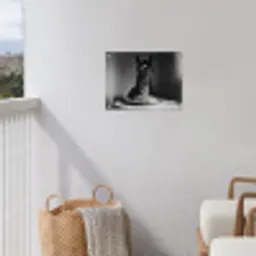 Paard - Bord - Pasta - Tafelkleed - Zwart Wit - Dieren tuinposter los doek klein -sfeer8